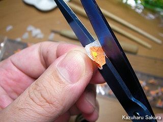 アリイ　'55トヨペット・クラウン　小京都のジオラマ製作　ノウゼンカズラの製作　ティッシュペーパーの花びらの塗装５