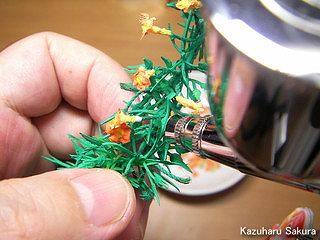 アリイ　'55トヨペット・クラウン　小京都のジオラマ製作　ノウゼンカズラの製作　木に花を接着させる