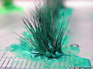 アリイ　'55トヨペット・クラウン　小京都のジオラマ製作 ネコジャラシ（エノコログサ）の毛で造った雑草２