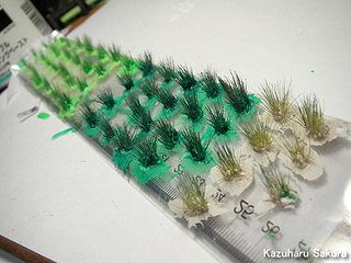 アリイ　'55トヨペット・クラウン　小京都のジオラマ製作 ネコジャラシ（エノコログサ）の毛で造った雑草４