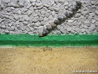 アリイ　'55トヨペット・クラウン　小京都のジオラマ製作 石垣の製作 造形完成