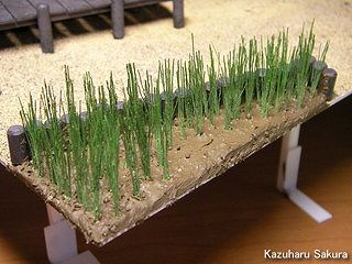 アリイ　'55トヨペット・クラウン　小京都のジオラマ製作 泥に菖蒲を植える３