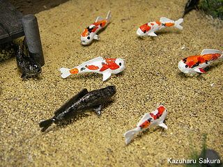 アリイ　'55トヨペット・クラウン　小京都のジオラマ製作  錦鯉・野鯉・ナマズの群泳４