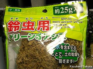 アリイ　'55トヨペット・クラウン　小京都のジオラマ製作 草の製作 鈴虫用グリーンオアシス