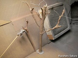 アオシマ・JZX90 トヨタ・マークⅡ　ジオラマ製作　サルスベリの木の幹の塗装