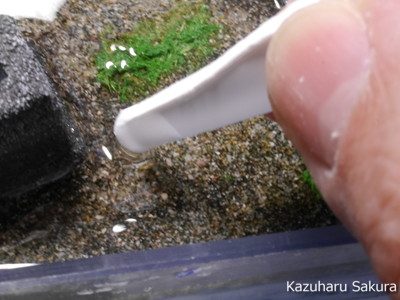 ﻿1/24 Kazuharu Sakura original ﻿櫻和春オリジナル 1/24 灯籠 ジオラマ制作記 ～ 川の水表現１７