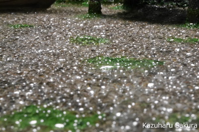﻿1/24 Kazuharu Sakura original ﻿櫻和春オリジナル 1/24 灯籠 ジオラマ制作記 ～ 川の水表現２１