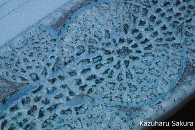 ﻿1/24 Kazuharu Sakura original ﻿櫻和春オリジナル 1/24 灯籠 ジオラマ制作記 ～ 石畳の制作１３