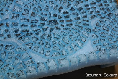 ﻿1/24 Kazuharu Sakura original ﻿櫻和春オリジナル 1/24 灯籠 ジオラマ制作記 ～ 石畳の制作１６