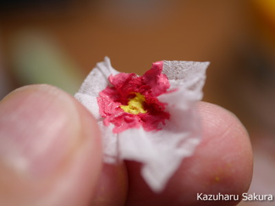 ﻿1/24 Kazuharu Sakura original ﻿櫻和春オリジナル 1/24 灯籠 ジオラマ制作記 ～ 立葵（タチアオイ）の制作１３
