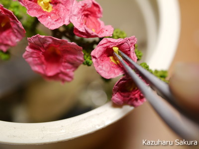 ﻿1/24 Kazuharu Sakura original ﻿櫻和春オリジナル 1/24 灯籠 ジオラマ制作記 ～ 立葵（タチアオイ）の制作１７
