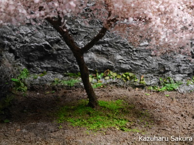 1/150 ジオコレを使用したジオラマ製作記 ～ 桜の木の取り付け４